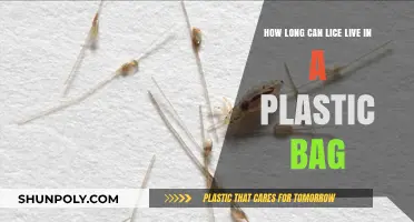 Lice Survival in Plastic Bags: How Long Can They Live?