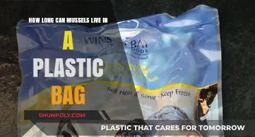 Mussels in Plastic Bags: Survival Time and Freshness Tips
