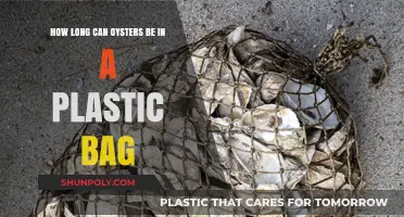 Oysters in Plastic Bags: Safe Storage Time and Tips