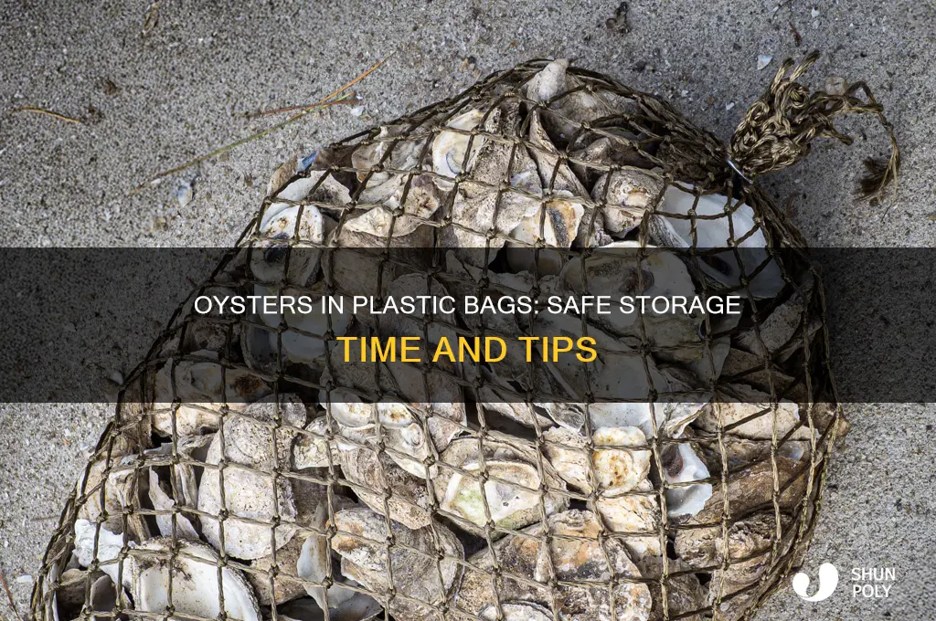 how long can oysters be in a plastic bag