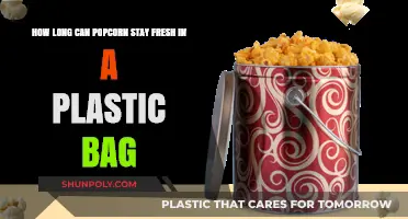 Popcorn Shelf Life: How Long Does It Stay Fresh in Plastic Bags?