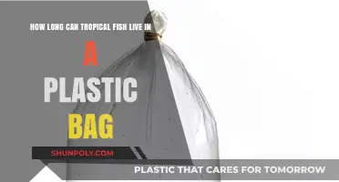 Tropical Fish Survival: How Long Can They Live in Plastic Bags?
