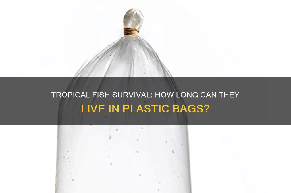 how long can tropical fish live in a plastic bag