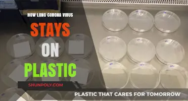 Unveiling the Persistence: How Long Does Coronavirus Linger on Plastic Surfaces?
