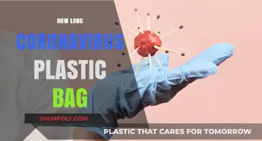 How Long Does Coronavirus Survive on Plastic Bags? Facts & Safety Tips