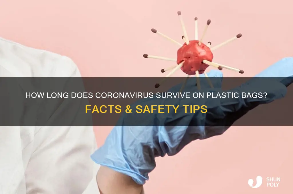 how long coronavirus plastic bag