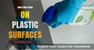 Lingering Pathogens: Understanding COVID-19's Persistence on Plastic Surfaces