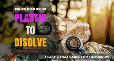 Unraveling the Mystery: Plastic's Dissolution Timeline Explored