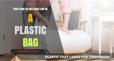 Bed Bugs in Plastic Bags: Survival Duration and Prevention Tips