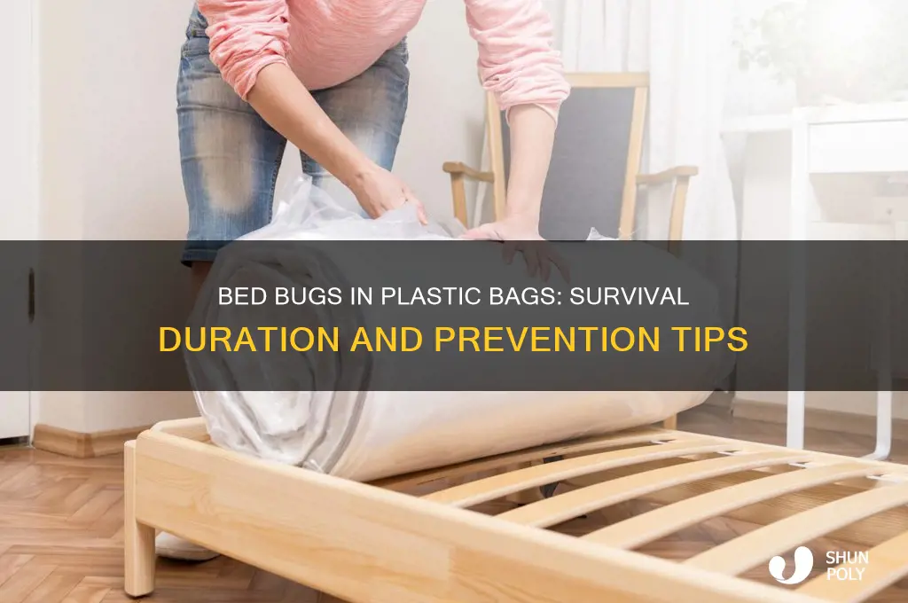 how long do bes bugs live in a plastic bag
