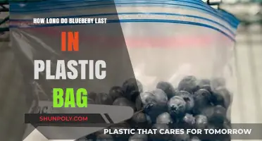 Blueberries in Plastic Bags: Shelf Life and Storage Tips