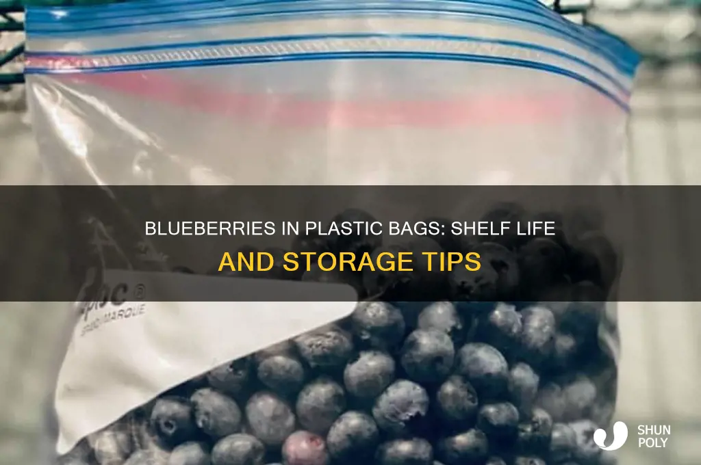 how long do bluebery last in plastic bag