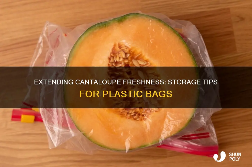 how long do cantelope last in plastic bag