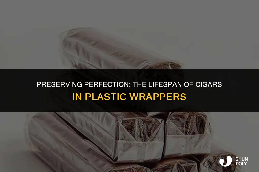 how long do cigars last in plastic wrapper