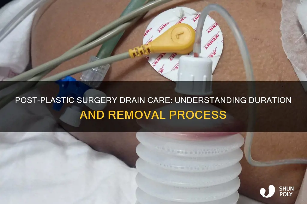 how long do drains stay in after plastic surgery