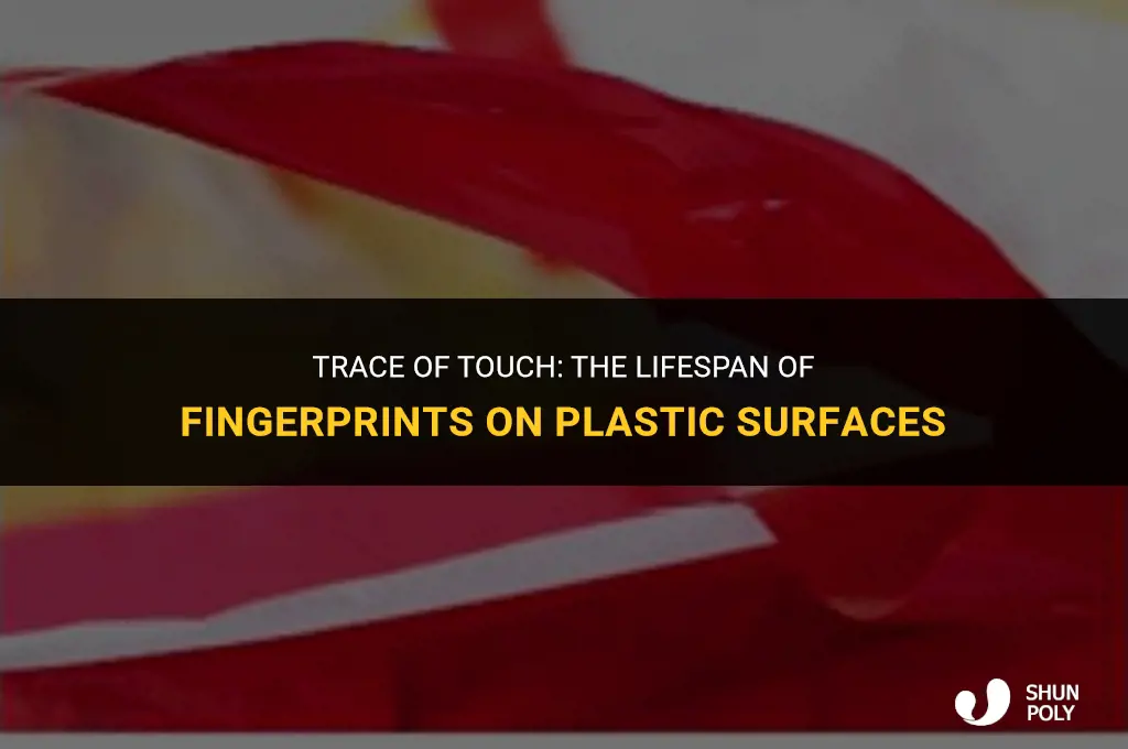 how long do fingerprints last on plastic