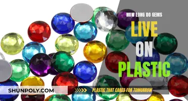 The Lifespan of Gems on Plastic: A Comprehensive Guide