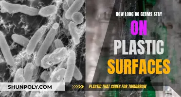 Germs on Plastic: Understanding Their Persistence and Risks