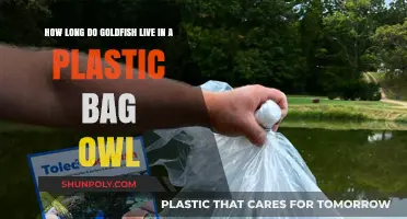 Goldfish Survival in Plastic Bags: Debunking the Owl Myth
