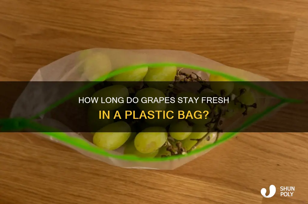 how long do grapes last in plastic bag