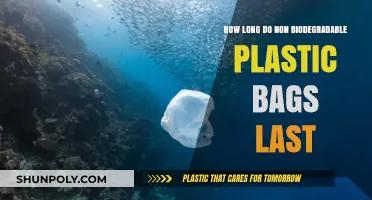 The Shocking Lifespan of Non-Biodegradable Plastic Bags Revealed