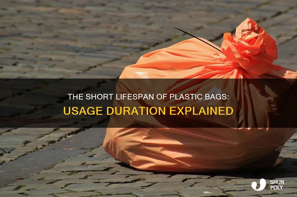 how long do people use plastic bags for