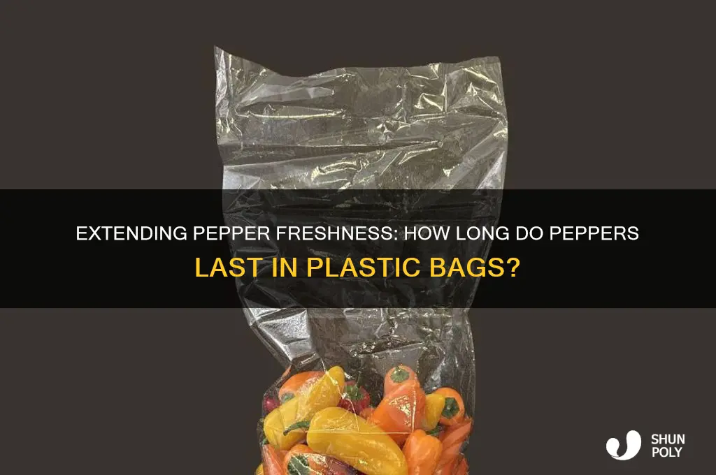 how long do pepers last in plastic bag