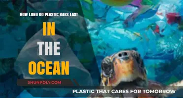 Plastic Bags in the Ocean: Lifespan and Environmental Impact Explained
