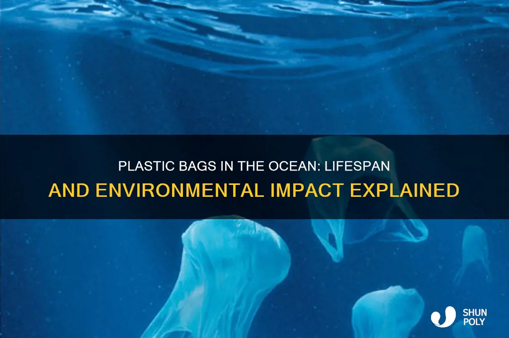 how long do plastic bags last in the ocean