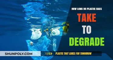 Plastic Bags' Environmental Impact: Understanding Their Slow Degradation Process