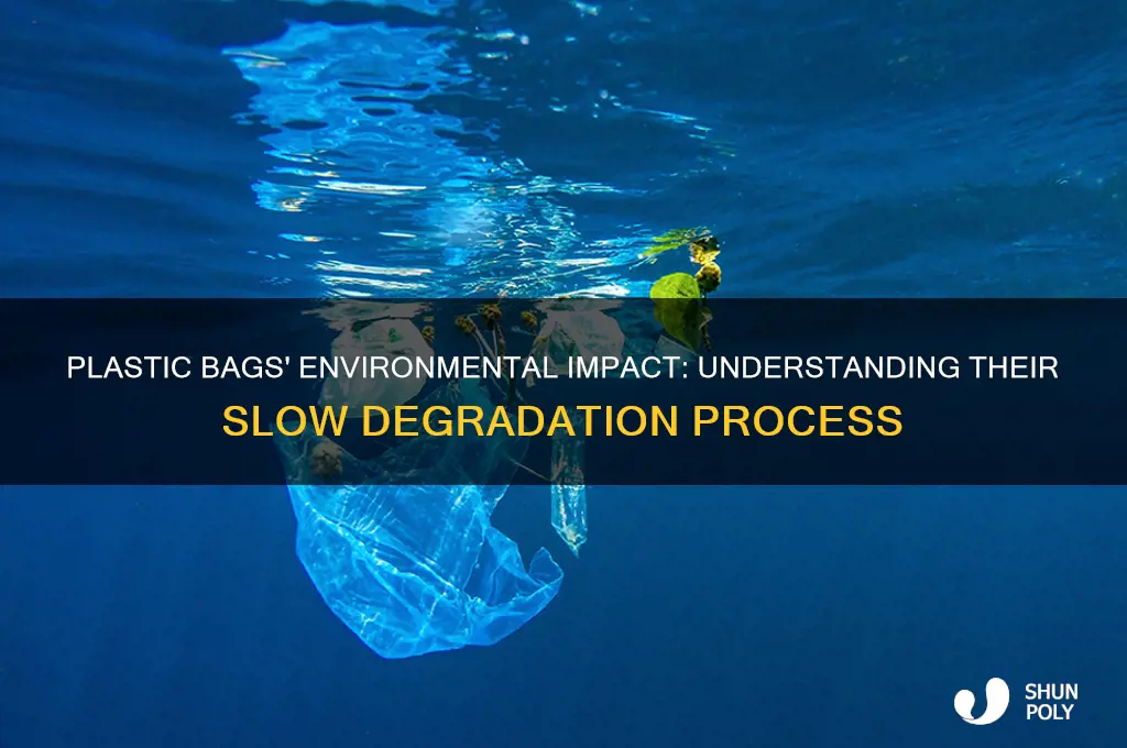 how long do plastic bags take to degrade