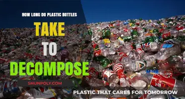 Plastic Bottles' Decomposition Timeline: A Shocking Environmental Reality