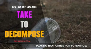 The Environmental Impact of Plastic Cups: A Decomposition Timeline