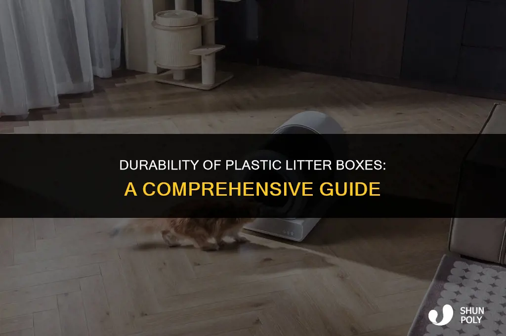 how long do plastic litter boxes last