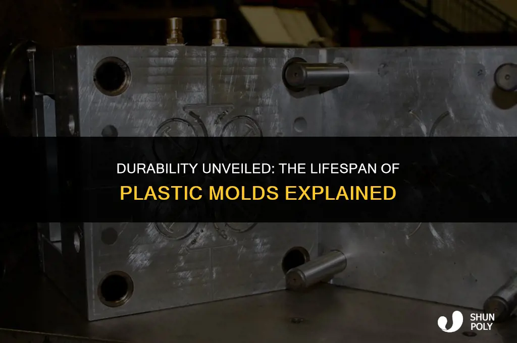 how long do plastic molds last