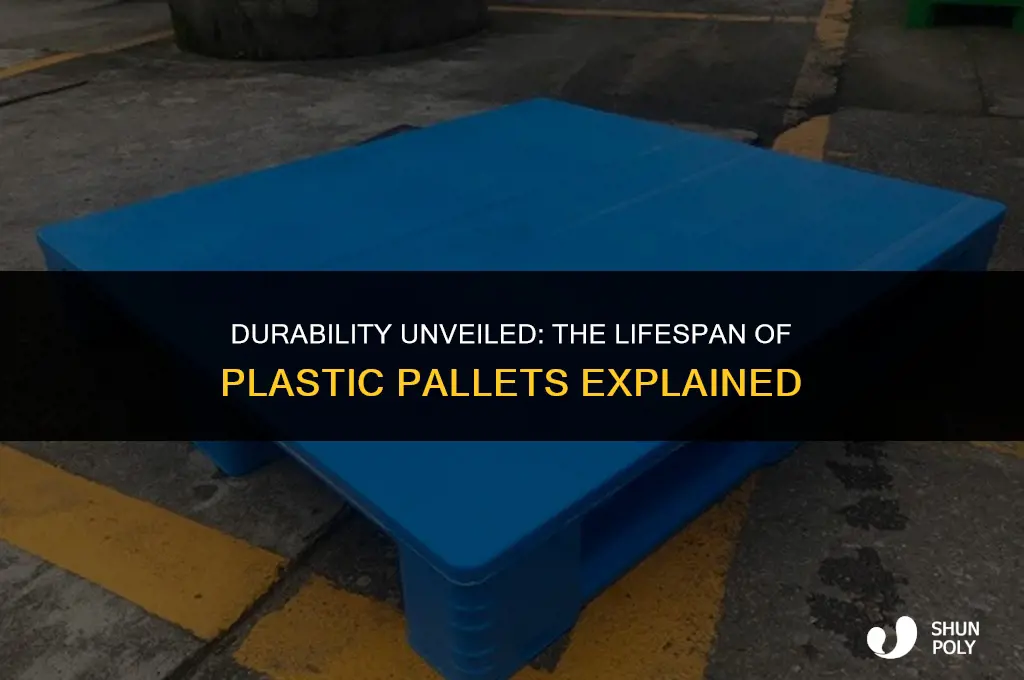 how long do plastic pallets last