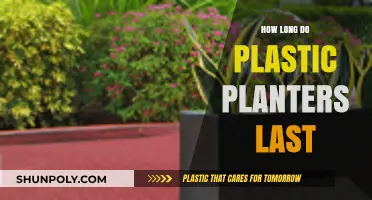 Durability Unveiled: The Lifespan of Plastic Planters Explained