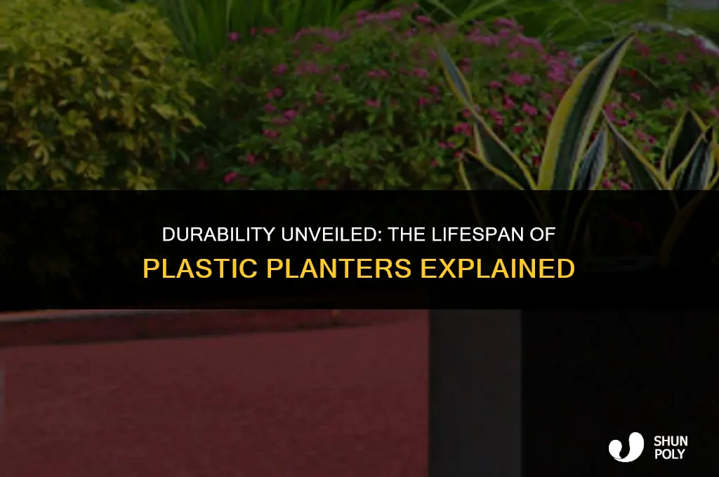 how long do plastic planters last