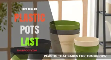 Durability Unveiled: The Lifespan of Plastic Pots Explained