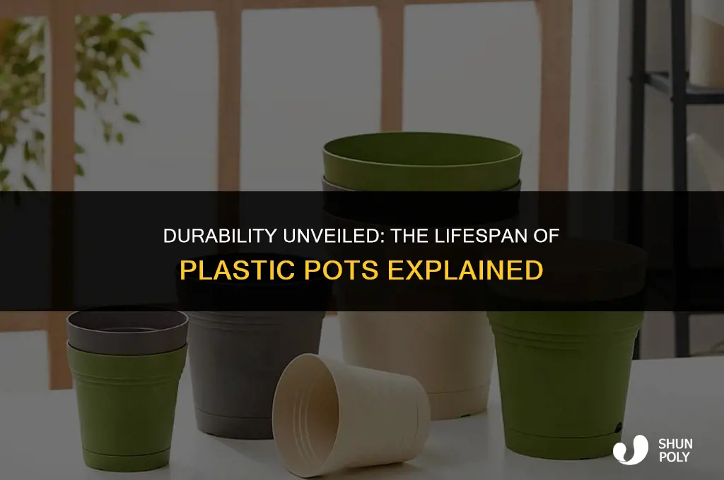 how long do plastic pots last
