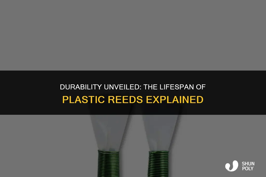 how long do plastic reeds last