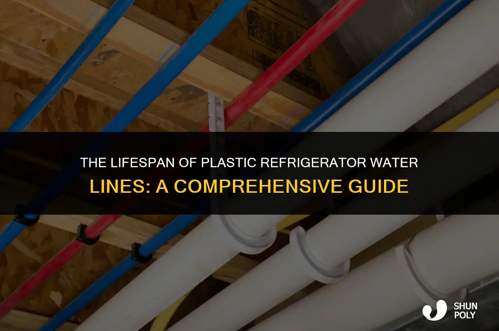 how long do plastic refridgerator water lines last