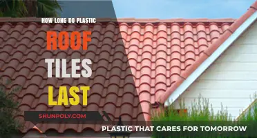 Durability Unveiled: The Lifespan of Plastic Roof Tiles Explored