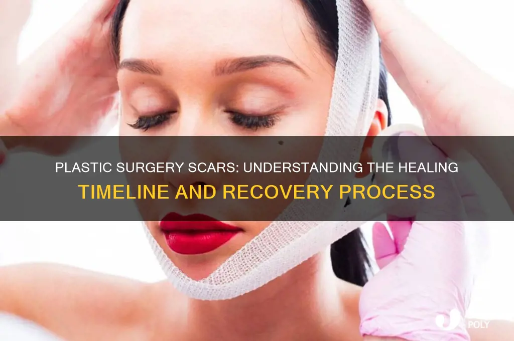 how long do plastic surgery scars take to heal