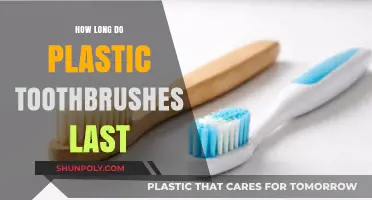 Decoding the Lifespan of Your Plastic Toothbrush: Facts and Myths