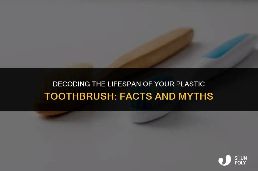 how long do plastic toothbrushes last