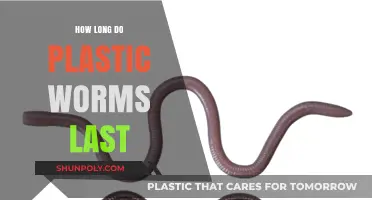 The Lifespan of Plastic Worms: A Comprehensive Guide
