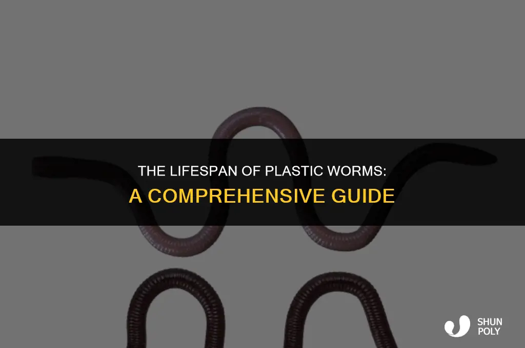 how long do plastic worms last