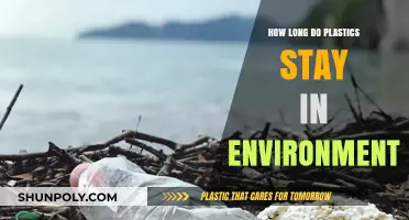 The Persistent Problem: How Long Do Plastics Linger in Our Environment?
