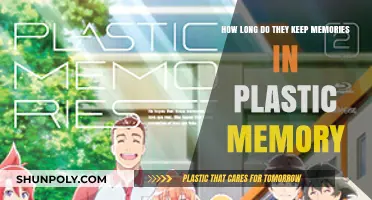 The Lifespan of Plastic Memories: How Long Do They Last?